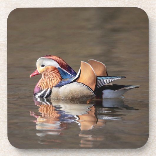 Mandarin Duck Bier Onderzetter (Voorkant)