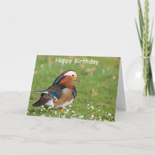 Mandarin Duck Birthday Kaart
