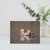 Mandarin Duck Briefkaart (Staand voorkant)