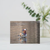Mandarin Duck Briefkaart (Staand voorkant)