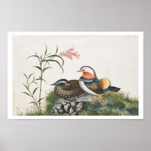 Mandarin Duck Chinese schilderijen Poster (Voorkant)