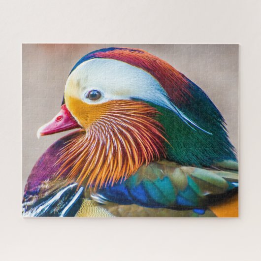 Mandarin Duck Close Up Portret Legpuzzel (Horizontaal)