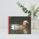 Mandarin Duck DIY Briefkaart (Staand voorkant)