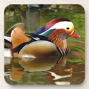 Mandarin Duck Drankjes Onderzetter
