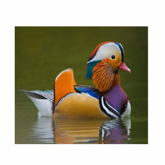 Mandarin Duck Fotobeeldje Sleutelhanger