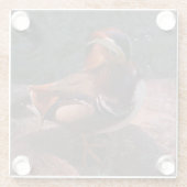 Mandarin Duck Glass Onderzetter Glazen Onderzetter (Achterkant)