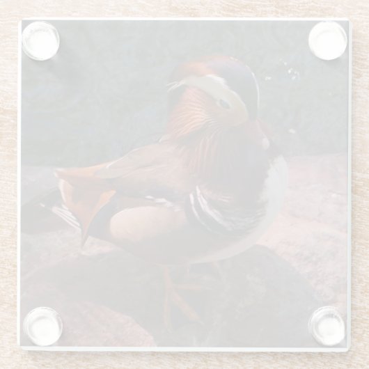 Mandarin Duck Glass Onderzetter Glazen Onderzetter (Achterkant)