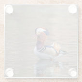 Mandarin Duck Glazen Onderzetter (Achterkant)