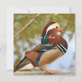 Mandarin Duck Kaart (Voorkant)