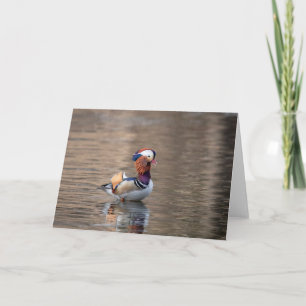 Mandarin Duck Kaart