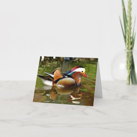 Mandarin Duck Kaart (Voorkant)