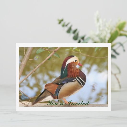 Mandarin Duck Kaart (Staand voorkant)