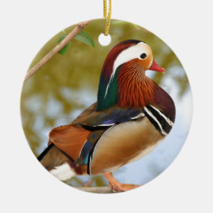 Mandarin Duck Keramisch Ornament
