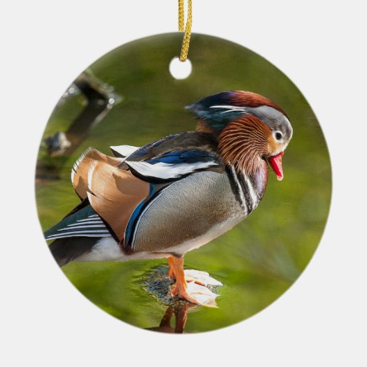 Mandarin Duck Keramisch Ornament (Voorkant)
