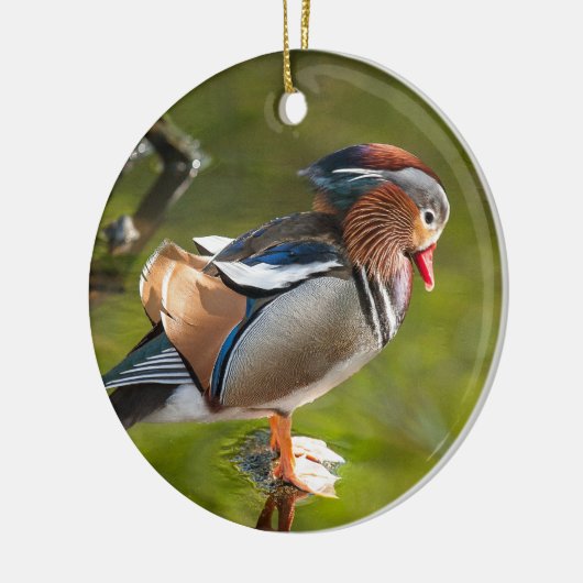 Mandarin Duck Keramisch Ornament (Links)