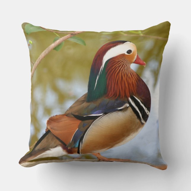 Mandarin Duck Kussen (Voorkant)