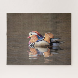 Mandarin Duck Legpuzzel