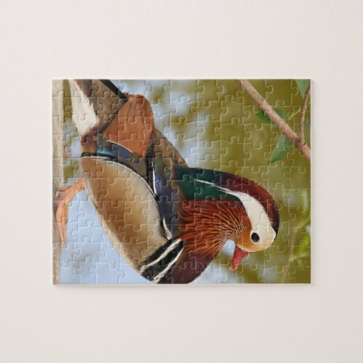 Mandarin Duck Legpuzzel (Horizontaal)