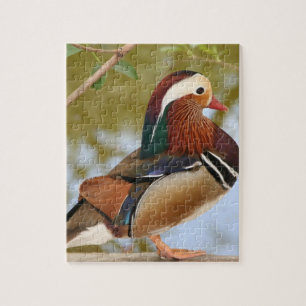 Mandarin Duck Legpuzzel