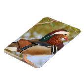 Mandarin Duck Magneet (Linkerzijde)
