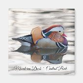 Mandarin Duck Magnet (Voorkant)