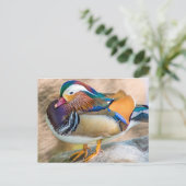 Mandarin Duck met mooie veren Briefkaart (Staand voorkant)