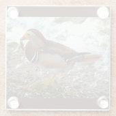 Mandarin Duck met vis bij het meer Glazen Onderzetter (Achterkant)