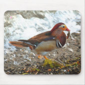 Mandarin Duck met vis bij het meer Muismat (Voorkant)