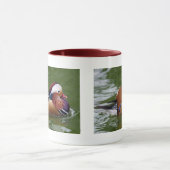 Mandarin Duck Mok (Midden)