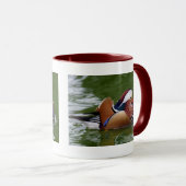 Mandarin Duck Mok (Voorkant rechts)