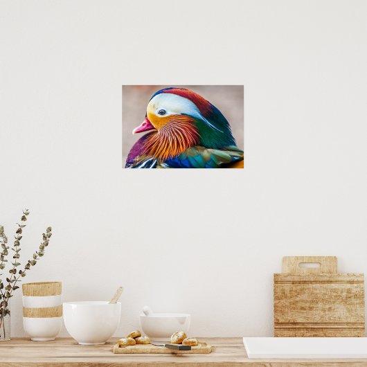 Mandarin Duck Mooi portret Poster (Keuken)