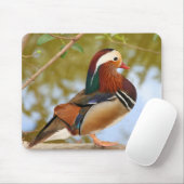 Mandarin Duck Muismat (Met muis)