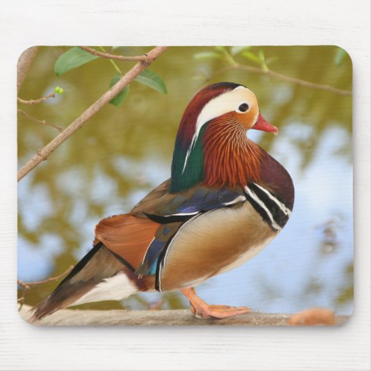 Mandarin Duck Muismat (Voorkant)