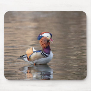 Mandarin Duck Muismat