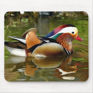 Mandarin Duck Muismat