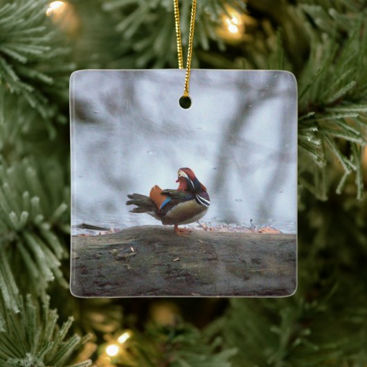 Mandarin Duck Photo Ceramic Ornament (Boom)