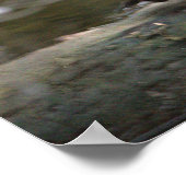 Mandarin Duck Photo Poster (Hoek)