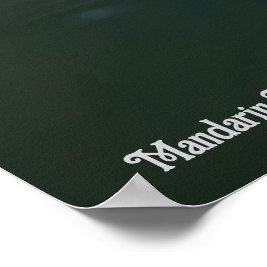 Mandarin Duck Poster (Hoek)