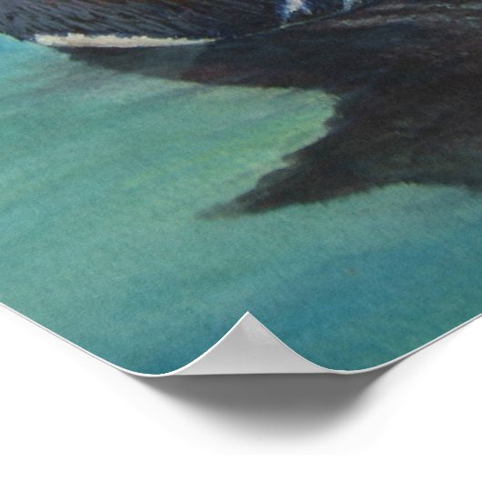 Mandarin Duck Poster (Hoek)