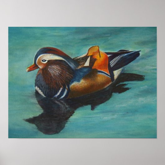 Mandarin Duck Poster (Voorkant)