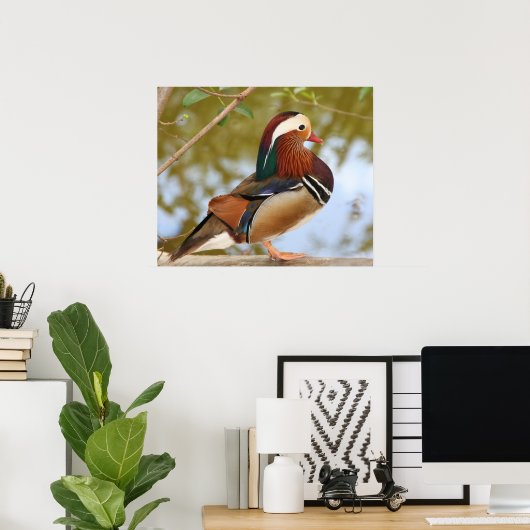 Mandarin Duck Poster (Thuiskantoor)