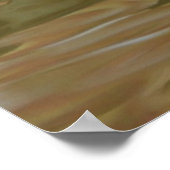 Mandarin Duck Poster (Hoek)