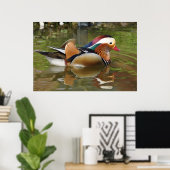 Mandarin Duck Poster (Thuiskantoor)