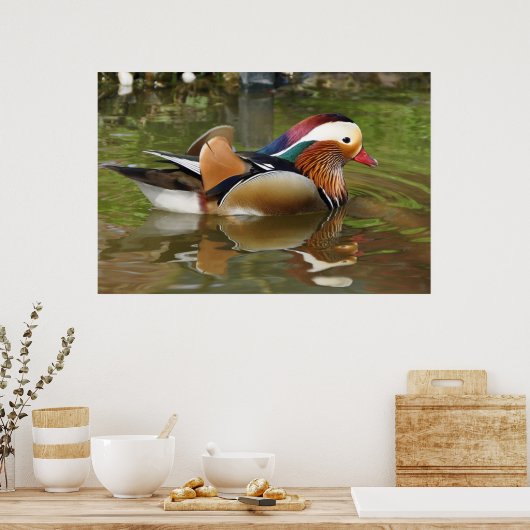 Mandarin Duck Poster (Keuken)