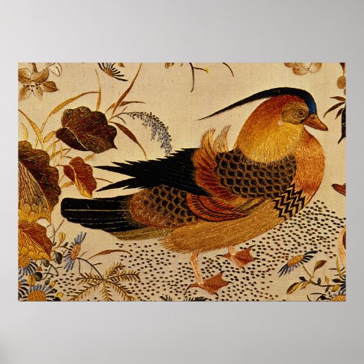 Mandarin Duck Poster (Voorkant)