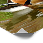 Mandarin Duck Poster (Hoek)