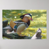 Mandarin Duck Poster (Voorkant)