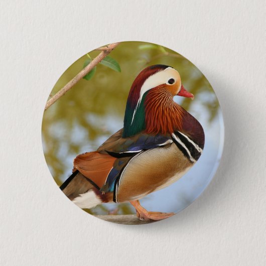 Mandarin Duck Ronde Button 5,7 Cm (Voorkant)