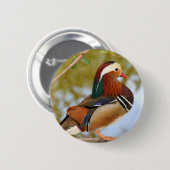 Mandarin Duck Ronde Button 5,7 Cm (Voorkant /achterkant)