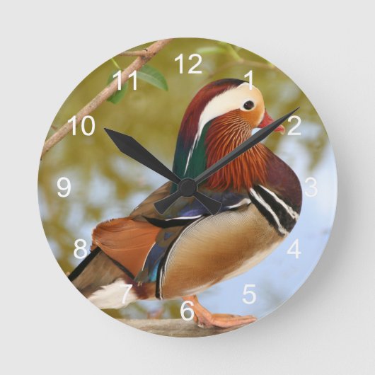 Mandarin Duck Ronde Klok (Voorkant)